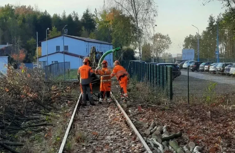 Gleisbau